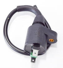 Carica l&#39;immagine nel visualizzatore di Gallery, BOBINA SCARABEO 125 4T 0307