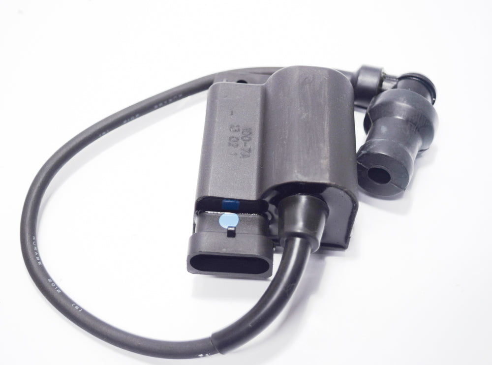 CENTRALINA SCARABEO-ZIP-FLY 100 4T