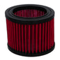 FILTRO ARIA RR 850-1100-1150