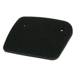 FILTRO ARIA P5102 LEONARDO 125-150 DAL 1996 AL 2004