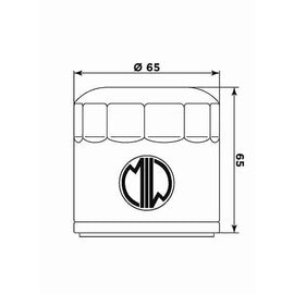 FILTRO OLIO BENELLI TNT 899-1130