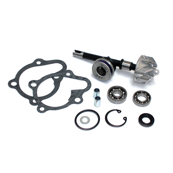 KIT REV POMPA ACQUA DINK 125-150