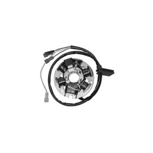 Carica l&#39;immagine nel visualizzatore di Gallery, STATORE &#39;DUCATI&#39; C/PIASTRA MINARELLI AM6