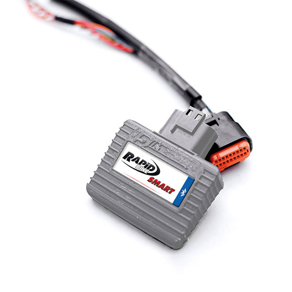 CENTRALINA SMART 2 CON CABLAGGIO (RIF.RA