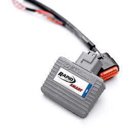 CENTRALINA SMART 2 CON CABLAGGIO (RIF.RA