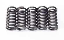 Carica l&#39;immagine nel visualizzatore di Gallery, SERIE MOLLE FRIZIONE RINFORZATE DERBI