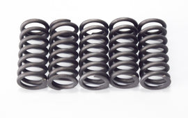 SERIE MOLLE FRIZIONE RINFORZATE DERBI