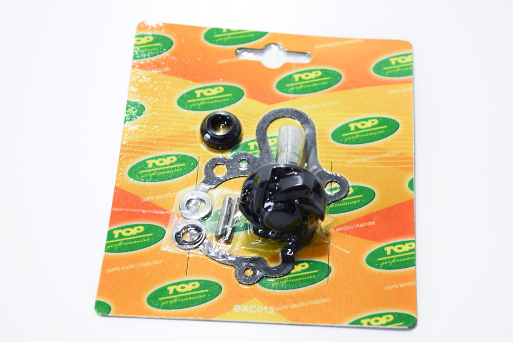 KIT REV POMPA ACQUA MINARELLI AM6