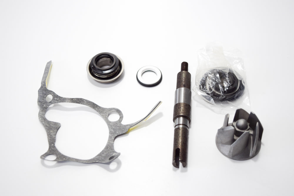 KIT REV POMPA ACQUA FORESIGHT 250 4T