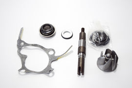 KIT REV POMPA ACQUA FORESIGHT 250 4T