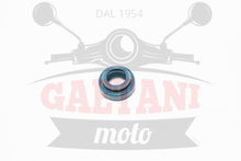 Carica l&#39;immagine nel visualizzatore di Gallery, PARAOLIO 10X18X8 POMPA H2O MINARELLI