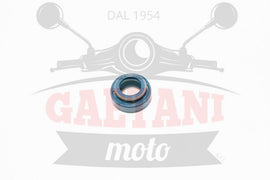 PARAOLIO 10X18X8 POMPA H2O MINARELLI