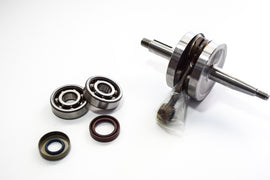 KIT ALBERO MOTORE DR+CUSCI+PARAOLI PIAGG