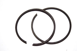 SG15682 - SERIE SEGMENTI D.40X1