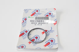 SG15691 - SERIE SEGMENTI D. 47