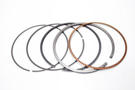 FASCE ELASTICHE 2 MAGG.MAJESTIC 250